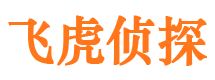 海港调查公司